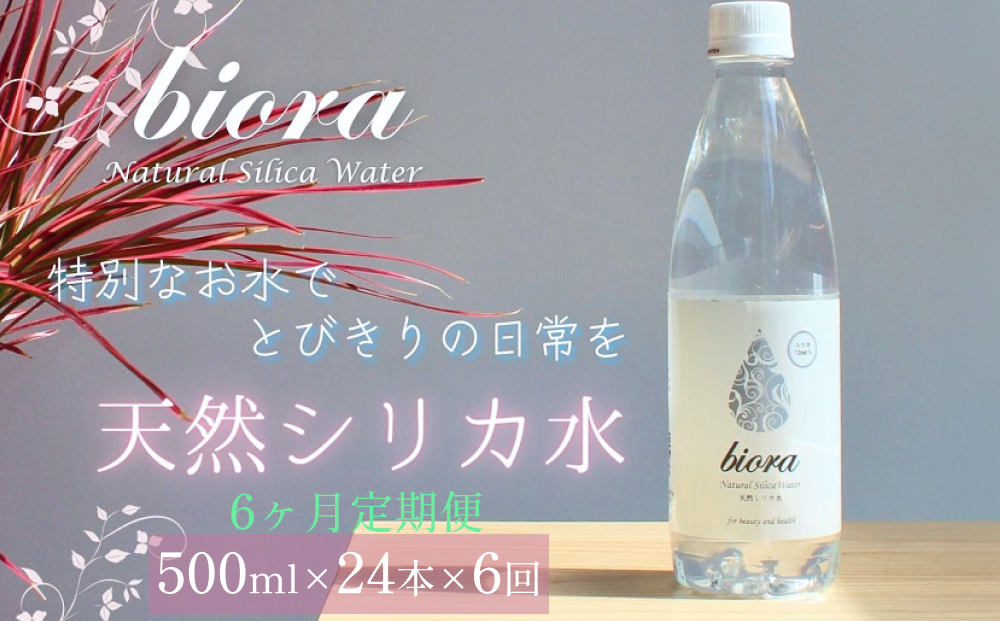 biora天然シリカ水 500ml×24本×6回 天然水 シリカ水 軟水 ミネ