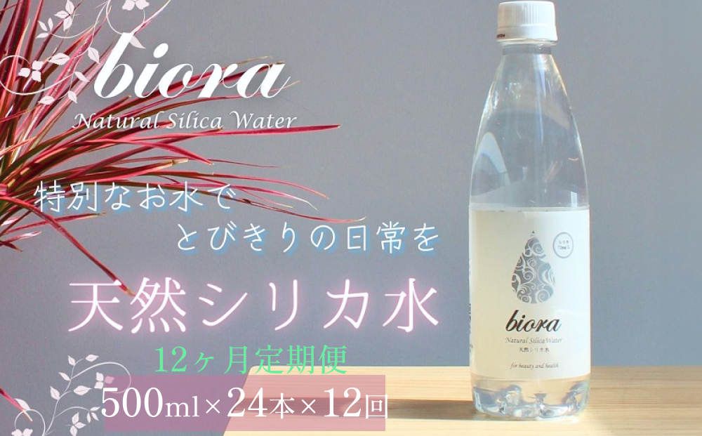 biora天然シリカ水 500ml×24本×12回 天然水 シリカ水 軟水 ミネ