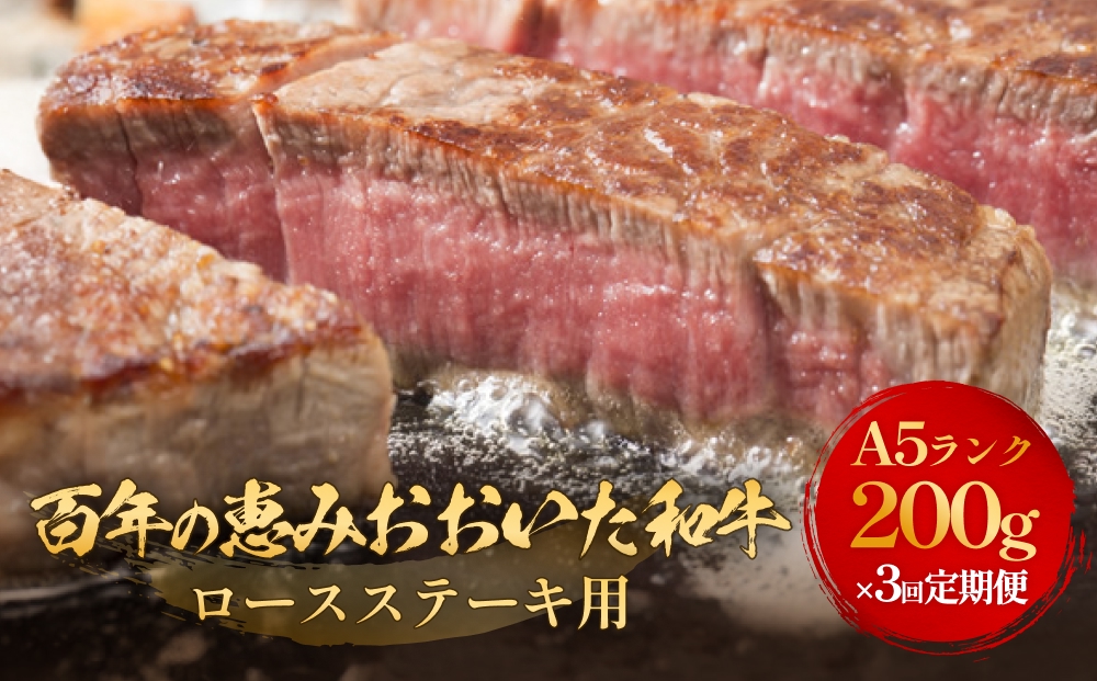 「百年の恵み おおいた和牛 」A5 ロースステーキ用 200g × 1