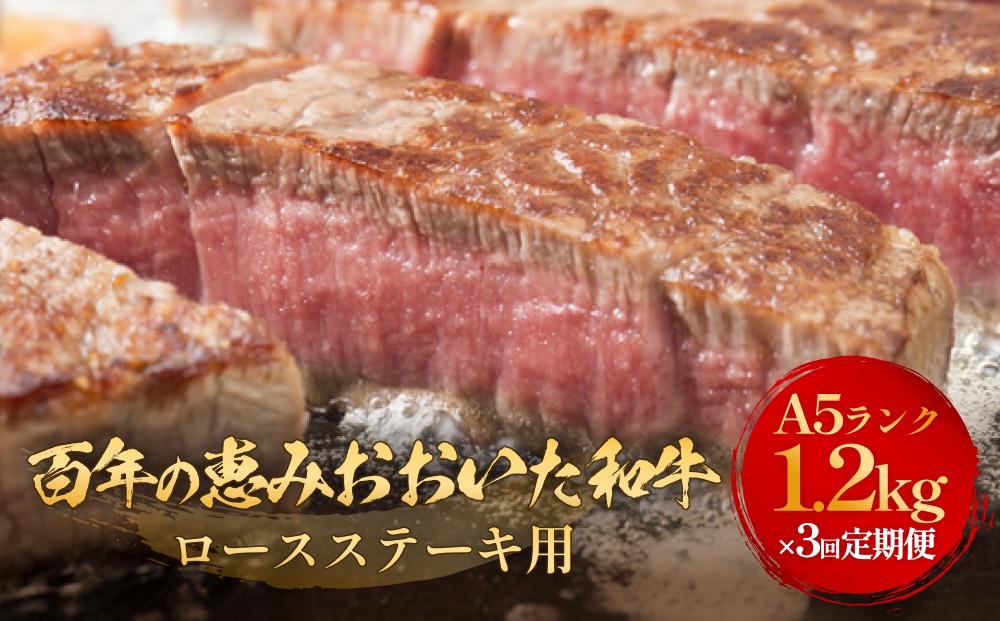 「百年の恵み おおいた和牛 」A5 ロースステーキ用300g × 4枚
