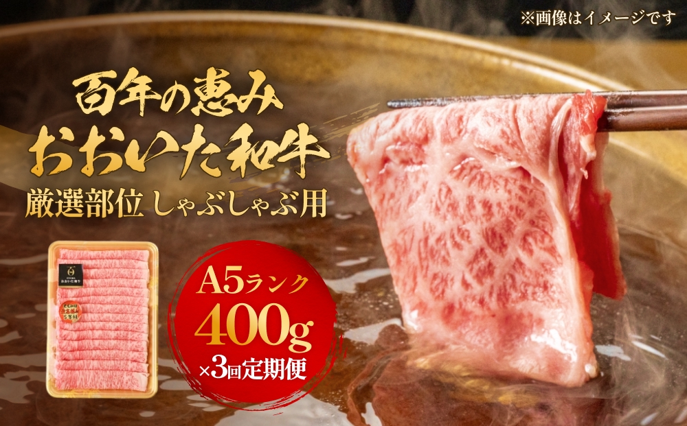 「百年の恵み おおいた和牛 」しゃぶしゃぶ用 400g × 3ヶ月 