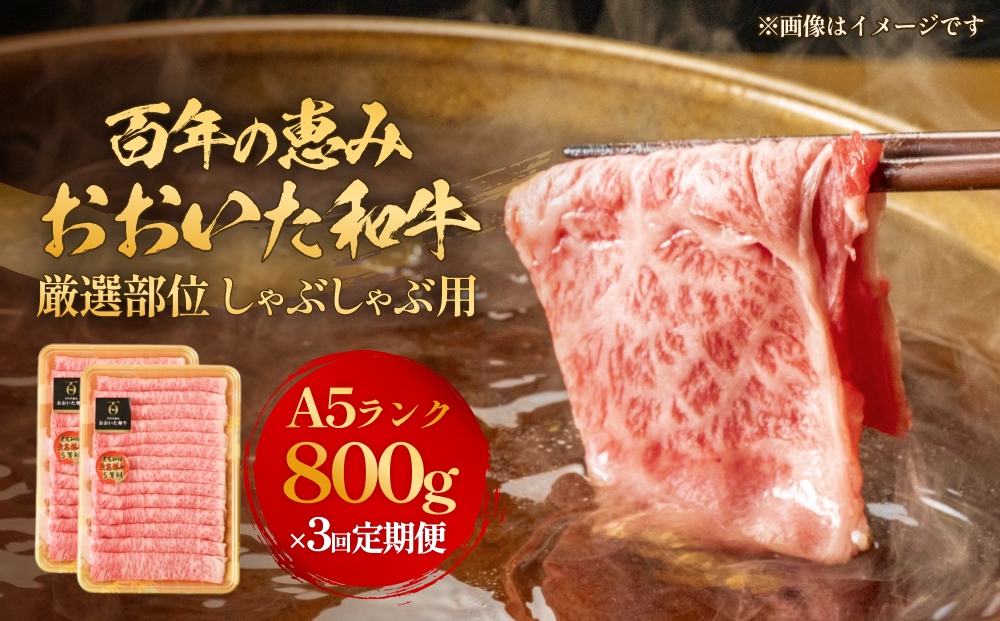 「百年の恵み おおいた和牛 」しゃぶしゃぶ用 800g × 3ヶ月 