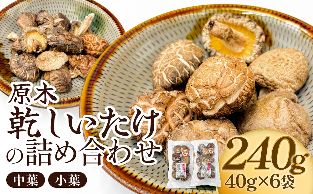原木乾しいたけの詰め合わせ（かわしま農園）240g  大分県 