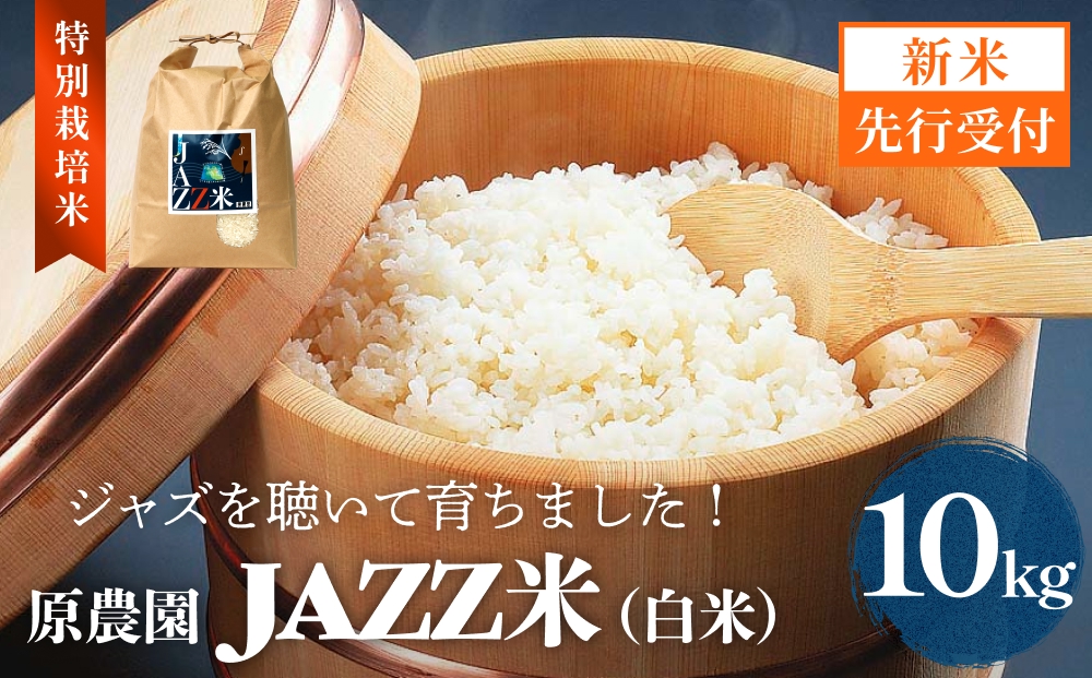 【令和8年産米先行受付】原農園 JAZZ米 白米 10kg ひのひかり 