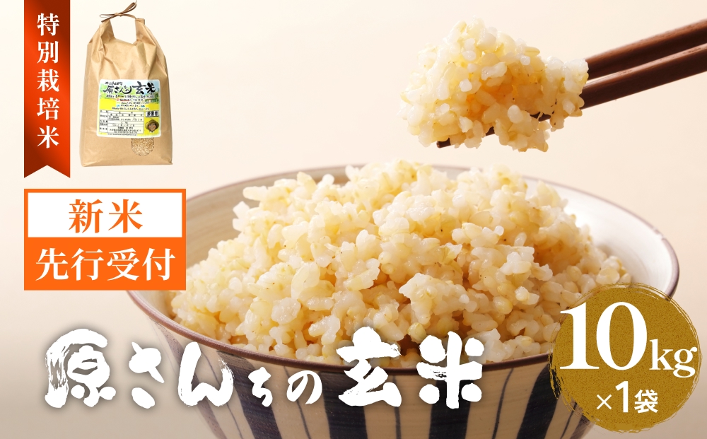 【令和8年産米先行受付】原さんちのお米 玄米 10kg ひのひか