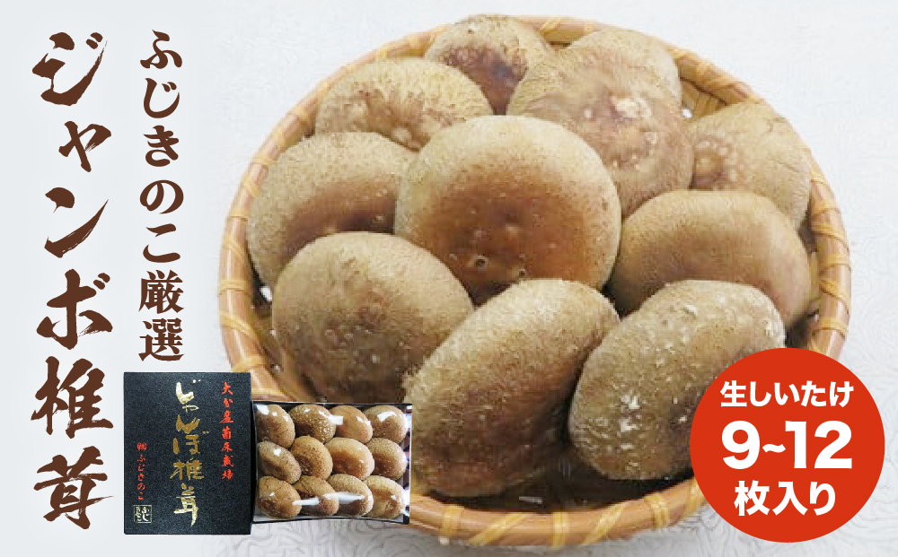 ふじきのこ厳選ジャンボ椎茸( 生しいたけ ) ふじきのこ 厳
