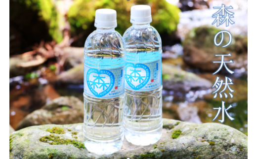 森の天然水 525ml×24本 天然水 水 飲料水 軟水 ミネラル 美容