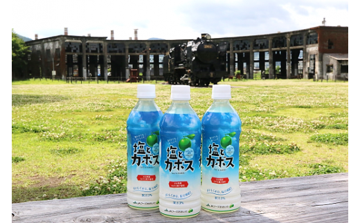 大分県産かぼすを使った「塩とカボス」 かぼす カボスドリ