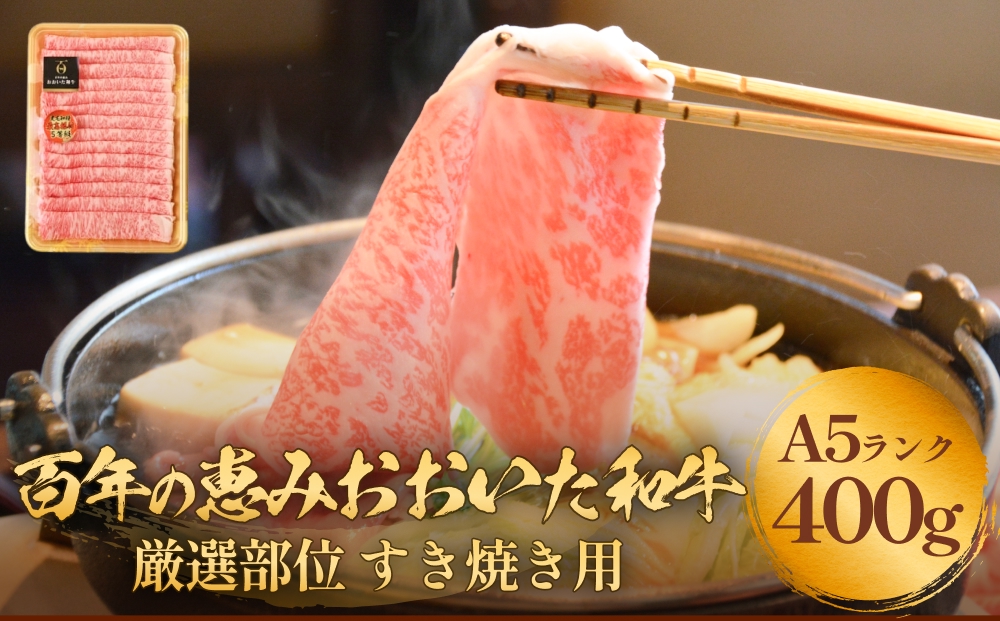 「百年の恵み おおいた和牛」A5すき焼き 400g おおいた和牛