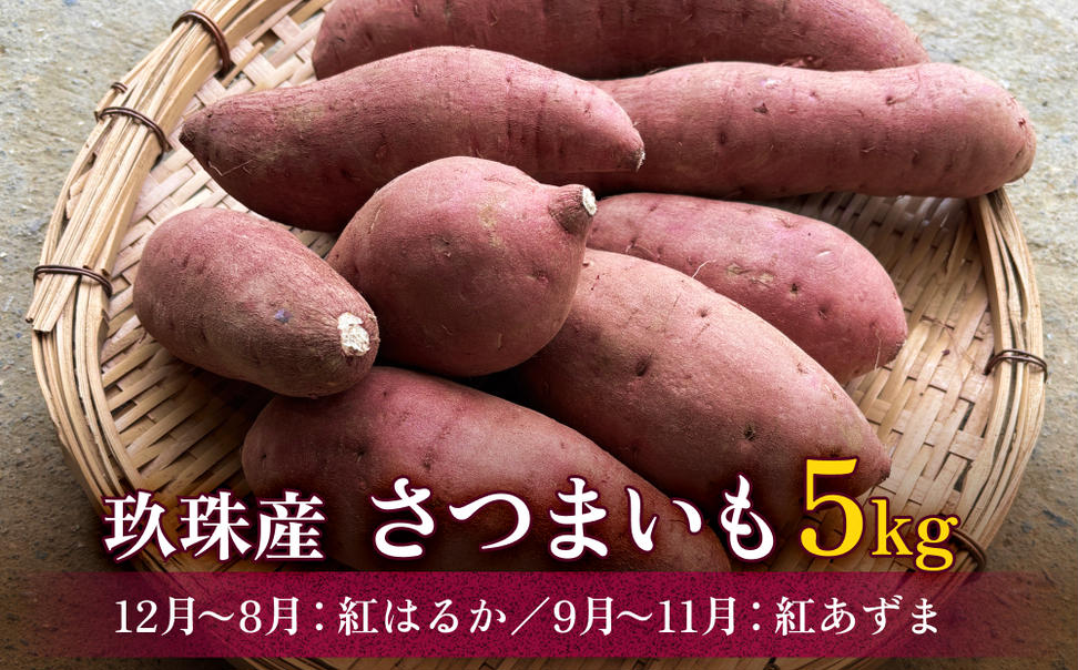 大分県産玖珠産　さつまいも5ｋｇ　紅はるか（12月～8月）