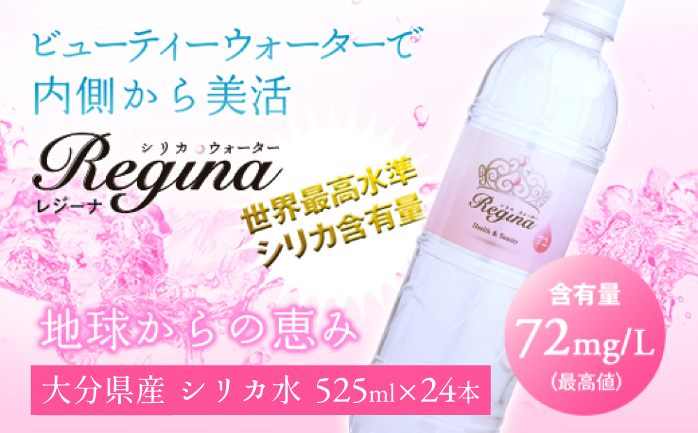 シリカウォーター Regina（レジーナ）24本