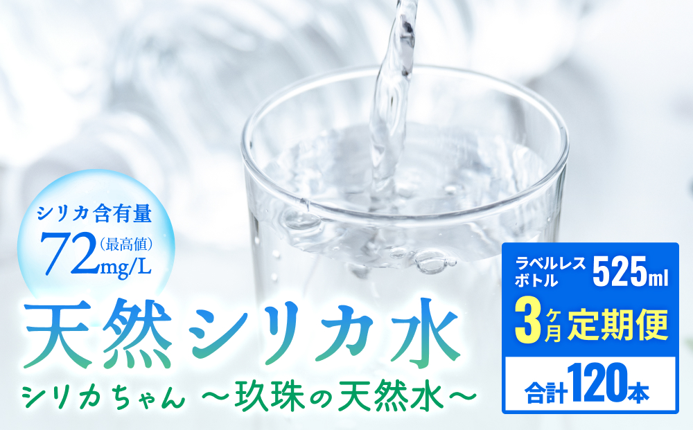 【数量限定】【12ヶ月定期便】天然水 シリカ 525ml × 40本 ＜