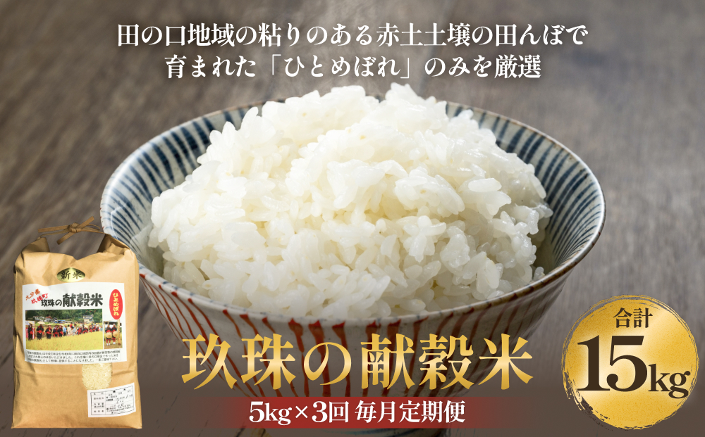 令和7年度玖珠の献穀米 5kg × 3回 毎月 定期便 米 ひとめぼれ