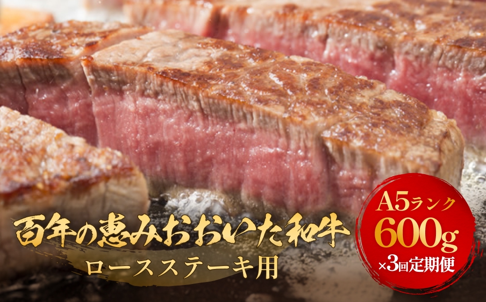 「百年の恵み おおいた和牛 」A5 ロースステーキ用 300g × 2