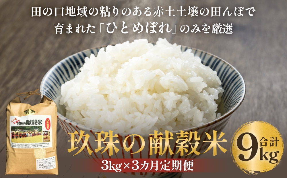令和7年 玖珠の献穀米 3kg × 3回 定期便 米 ひとめぼれ 大分