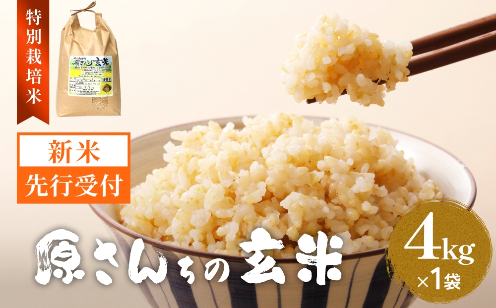 【令和8年産米先行受付】原さんちのお米 玄米 ４kg ひとめ