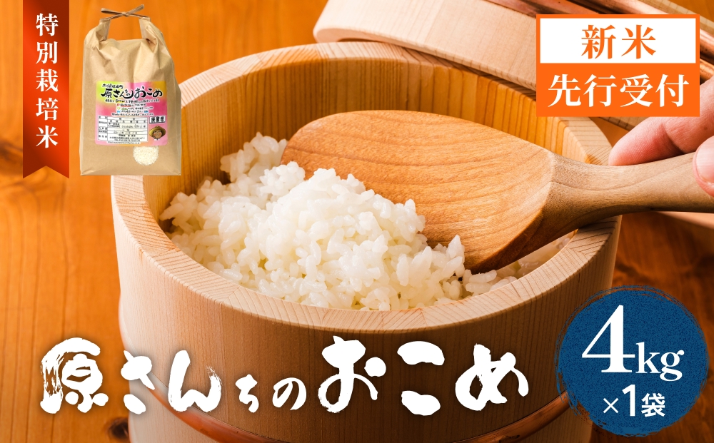 【令和8年産米先行受付】原さんちのお米 白米 ４kg ひのひ