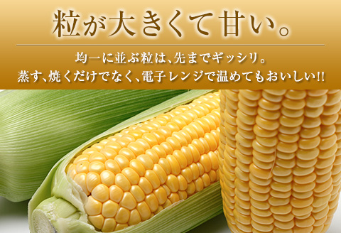 ◆朝採れスイートコーン (合計約4.5kg) 宮崎県産