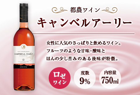 □【大阪屋】宮崎産ワイン　2種セット