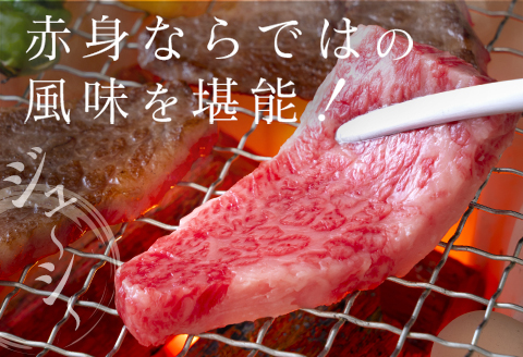 ◆宮崎牛ウデ焼肉(500g1パック)