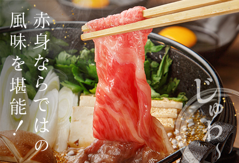 ◆宮崎牛肩(ウデ)スライス(500g1パック)