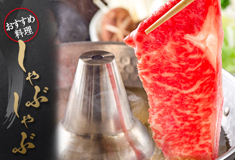 ◆黒毛和牛ひなたモモスライス(500g)