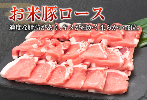 ◆宮崎県産 お米豚焼肉セット(合計1kg)