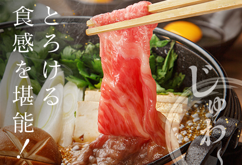 ◆宮崎牛ローススライス(500g)