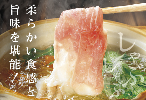 ◆宮崎ブランドポーク　ロースしゃぶしゃぶ用(合計1.5kg)