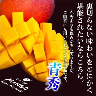 宮崎県産完熟マンゴー[青秀] 合計約2kg（4～6玉）