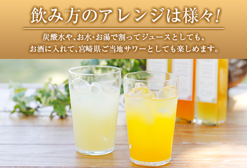 ◆宮崎ハンドメイド　ゆずジンジャーシロップ×3本(合計600ml)