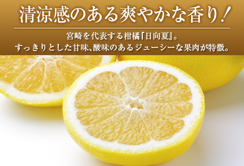 ◇宮崎県産 露地日向夏 約5kg（満杯詰め）