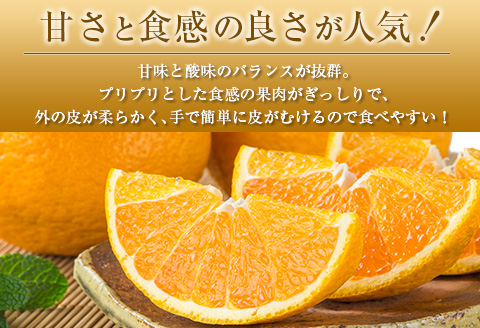 ◇宮崎県産 不知火（しらぬい） 約3kg（8～12玉入）