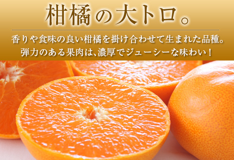 ◇宮崎県産 せとか 約3kg（8～12玉入）