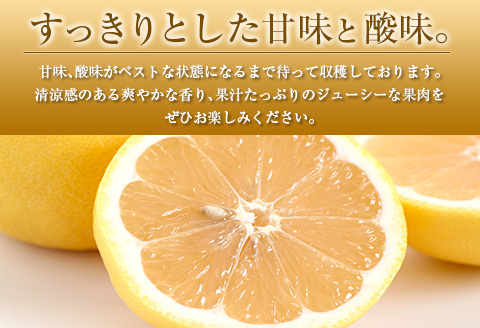 ◇宮崎県産ハウス日向夏 合計約2.5kg（9～15玉入）