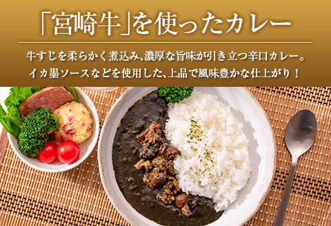 ◆宮崎牛すじ濃厚黒カレー(辛口)　合計1kg(200g×5食)