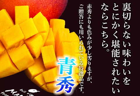 宮崎県産完熟マンゴー[青秀] 合計約1kg（2～3玉）