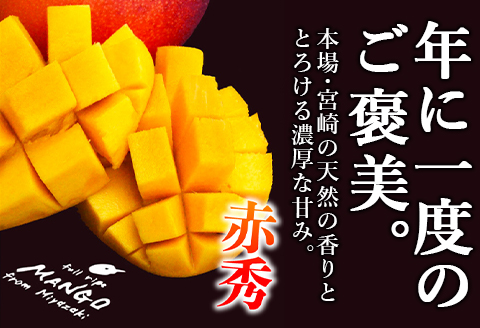 宮崎県産完熟マンゴー[赤秀] 合計約1kg（2～3玉）