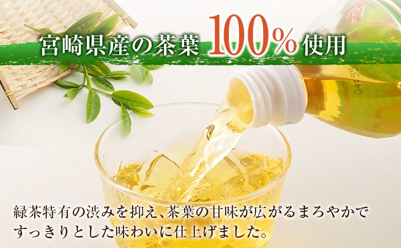 宮崎緑茶 すっきりわかば 500ml×24本 ペットボトル サンA