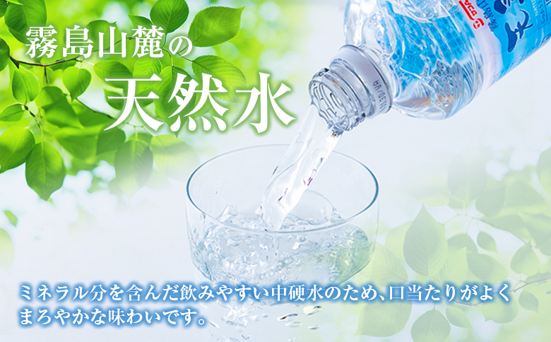 霧島山麓の天然水 590ml×24本 ペットボトル サンＡ 宮崎県産 単品（590ml×24本）
