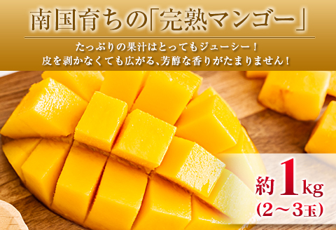 ◆宮崎県産 マンゴー＆ライチセット（合計約1.4kg）