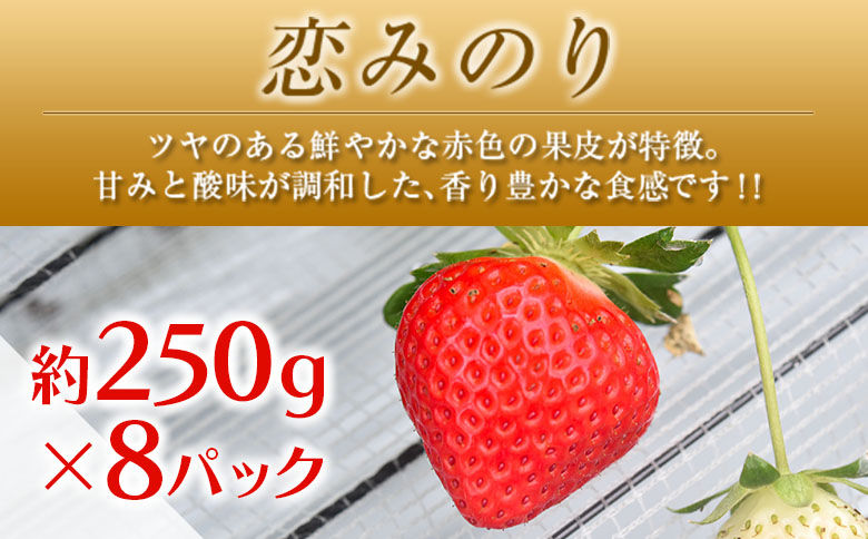 ◆「南国宮崎発」　いちご・完熟マンゴー・スイートコーン　3回定期便