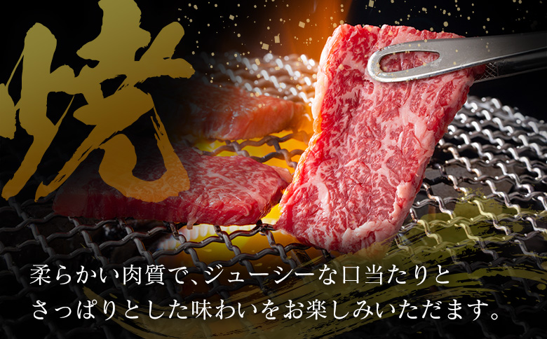 「訳あり」宮崎県産 黒毛和牛 肩ロース 不揃い 切り落とし 焼肉 500g