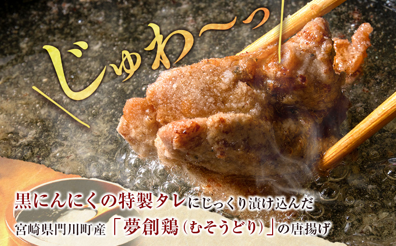 黒にんにくのタレにじっくり漬け込んだ唐揚げ 合計1.2kg 国産 からあげ 鶏肉 もも 惣菜