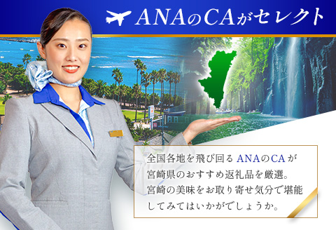 【ANA限定】ANA CAセレクト 宮崎県 ステイマストバイ 冷凍うまいものセット