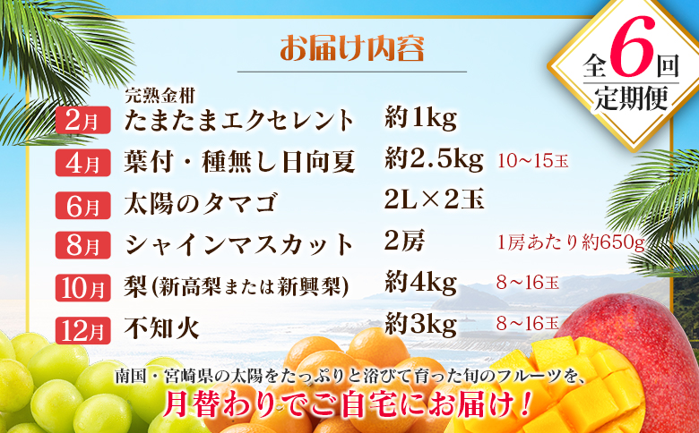 【偶数月 6回定期便】旬 人気 フルーツ 南国宮崎産 太陽のタマゴ きんかん シャインマスカット 日向夏 梨 みかん 柑橘 マンゴー ぶどう 果物 詰め合わせ＜A-2コース M120＞