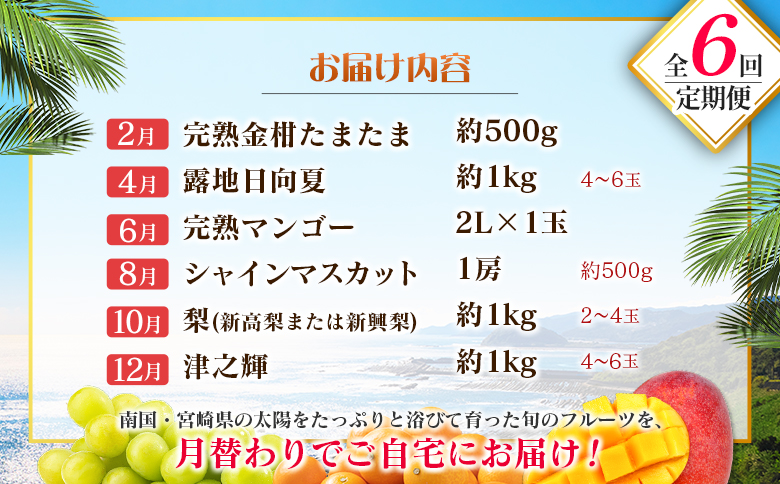 【偶数月 6回定期便】旬 人気 フルーツ 南国宮崎産 マンゴー 金柑たまたま シャインマスカット みかん 梨 日向夏 柑橘 きんかん ぶどう 果物 詰め合わせ 宮崎県 九州＜C-2コース M320＞