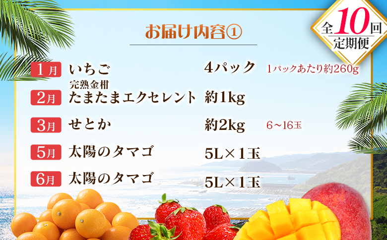 【10回定期便】旬 人気 フルーツ 南国宮崎産 太陽のタマゴ 金柑たまたまエクセレント シャインマスカット ピオーネ いちご みかん 梨 メロン 柑橘 マンゴー きんかん たまたま ぶどう 果物 詰め合わせ 宮崎県 九州＜E-1コース M500＞