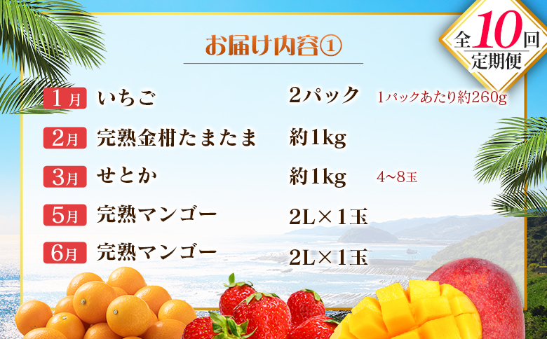 【10回定期便】旬 人気 フルーツ 南国宮崎産 マンゴー 金柑たまたま シャインマスカット ピオーネ いちご みかん 梨 メロン 柑橘 きんかん ぶどう 果物 詰め合わせ 宮崎県 九州＜E-2コース M600＞