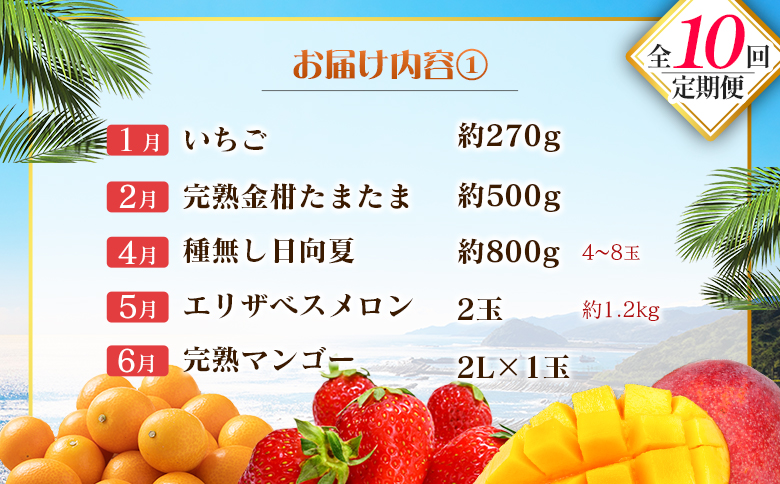 【10回定期便】旬 人気 フルーツ 南国宮崎産 マンゴー 金柑たまたま シャインマスカット ピオーネ いちご みかん 日向夏 メロン 柑橘 きんかん ぶどう 果物 詰め合わせ 宮崎県 九州＜E-3コース M700＞